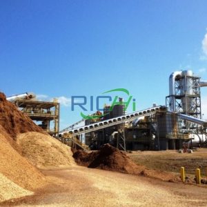 1-20MT-new-design-wood-pellet-plant-for-sale-in-Italy